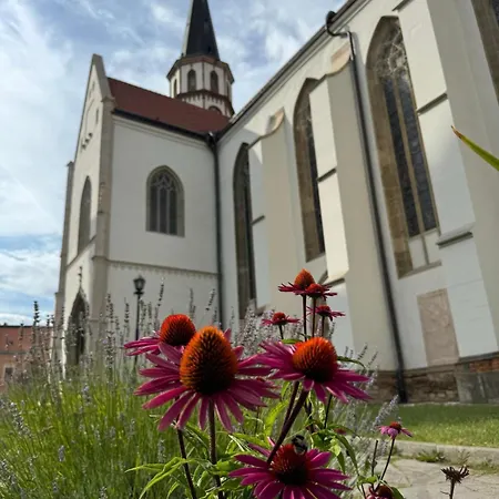 Pri Hradbach Appartamento *